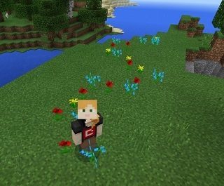A screenshot of Minecraft