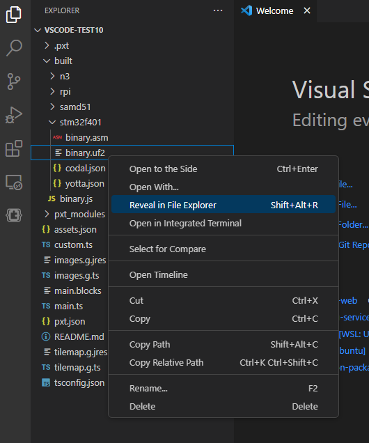 Screenshot of VS Code with the right-click context menu open over the file binary.uf2
