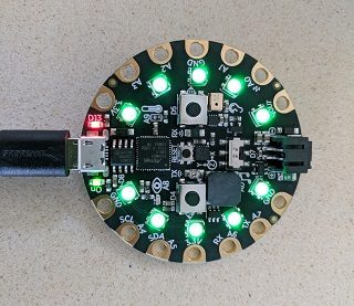 The board reset with LEDs flashing