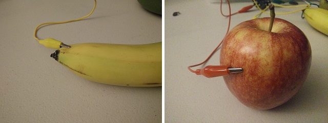 Alligator lead clipped to fruit