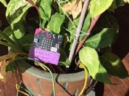 A watering plant with a micro:bit