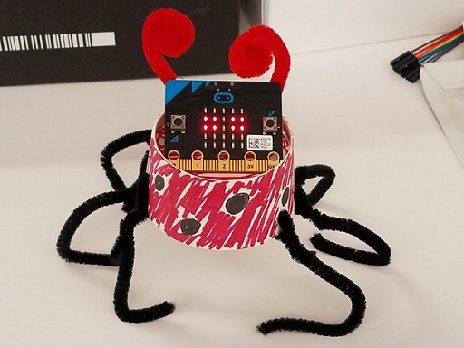 micropet ladybug project